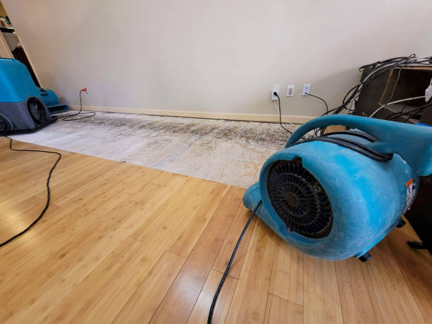 Professional Ceiling Water Damage Repair technician working in Branchville, SC
